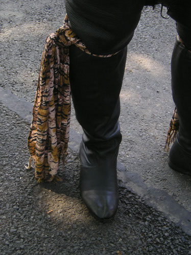 Picture%20061