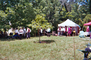 cthe_list_field2